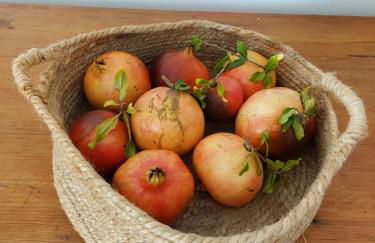 Mileu slowhouse - Foto 18