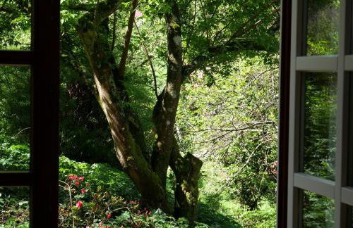 Ferienhaus Straubehof - Foto 23