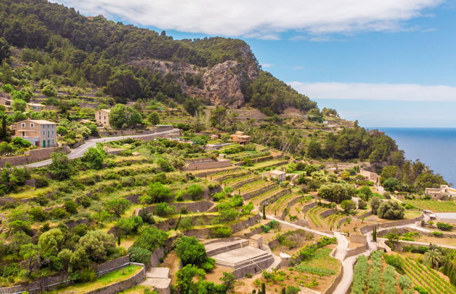 Sa Caseta des Camp - Foto 21