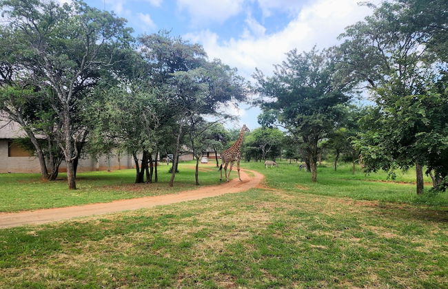 Buyskop Lodge - Foto 52