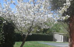 Podere Lo Stringaio - Foto 26