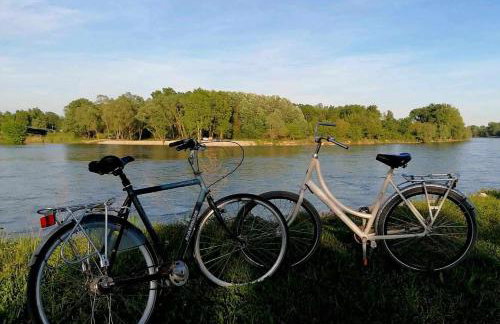 Kuća za odmor DRAVA LIFE - Foto 40