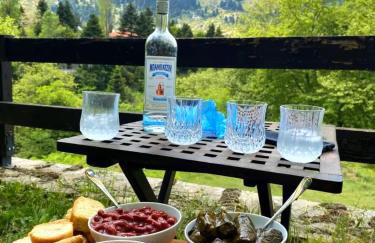 Pinecone Lodge, Eptalofos Wellness Garden Chalet - Foto 39