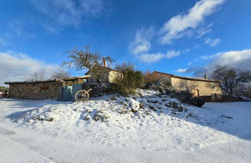 GITE LA MENOU - Foto 11