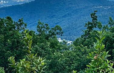 Villa Les Chants Vallonnés - Foto 19