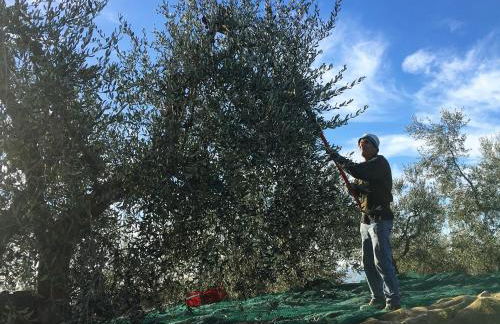 Podere Casanova - Foto 75