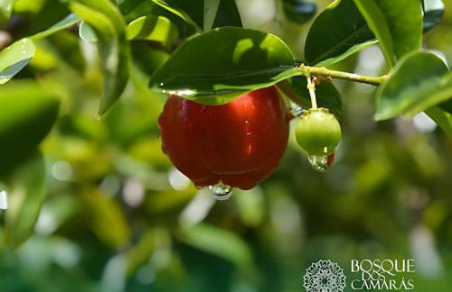 Refugio Aldeia dos Camarás - Foto 64