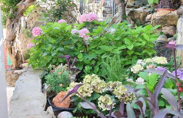 Villa Riva - Photo 16