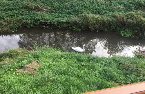 Logi-Bear Lodge with Hot Tub - Photo 20