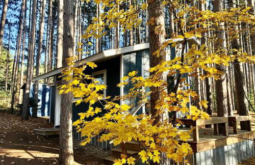 Shoreline Pines - Foto 10