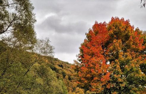 Apartamenty U Pana Jana - Foto 42