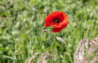 Reethus 22 Loft 7 - Foto 30