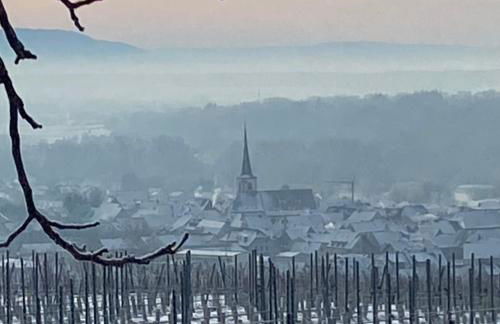 Ferienwohnungen TonArt - modern & stilvoll im Weinort Sommerach - Foto 35