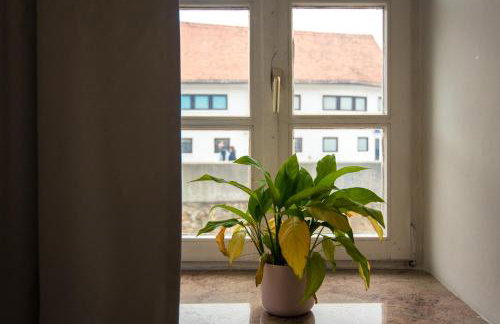 Apartman Rudi - Foto 67