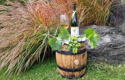 Appartements Schusterhof - Foto 73