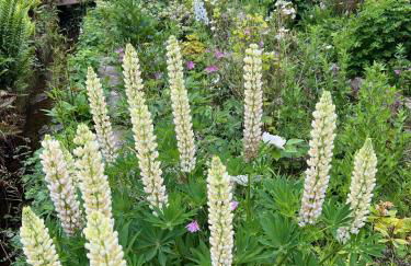 The Annexe at Fishponds - Photo 46