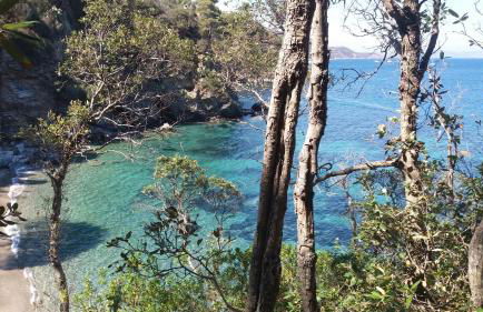 Berenice - Isola D'Elba Apartments - Foto 29