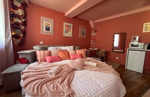 LE LOVE-ROOM, Jacuzzi, Hyper-centre - Foto 19