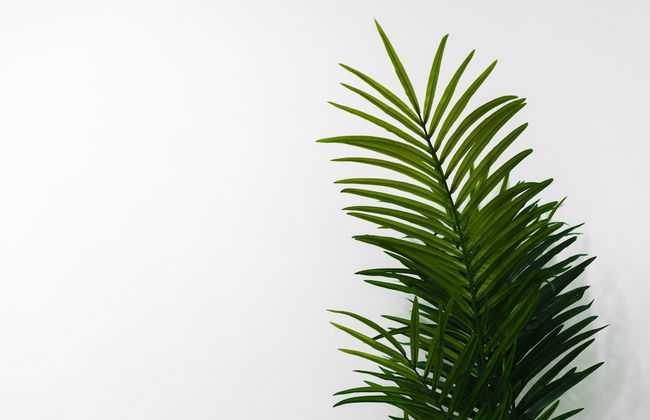 Apartamentos Toboso Plaza - Foto 47