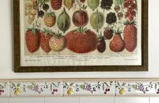 Encanto en el Moncayo - Photo 39