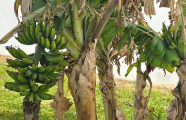 ILIOS K Village Resort - Foto 71