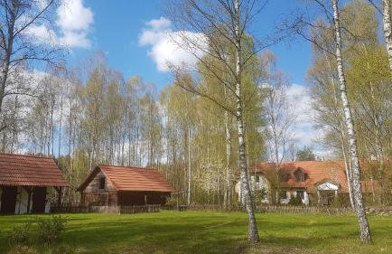 Villa Stare Osieczno - Foto 40