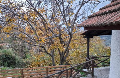 Mountain and Sea view - Foto 35