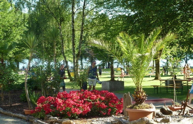 Holiday Apartment Seagull - Photo 26