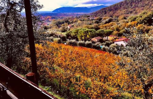 Agriturismo La Carreccia - Foto 23