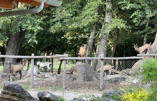 La Noce di Creta - Foto 71