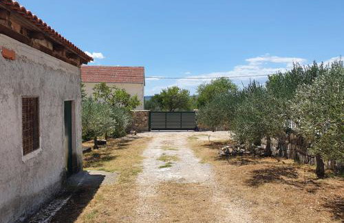 Villa Lidia - Photo 29