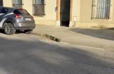 Cozy & air-conditioned 2 room apartment Patte d'Oie quiet neighborhood - Foto 22