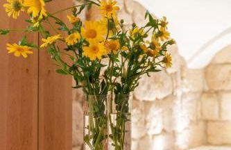 Altendorfer Vorwerk - Ferienapartments - Foto 67