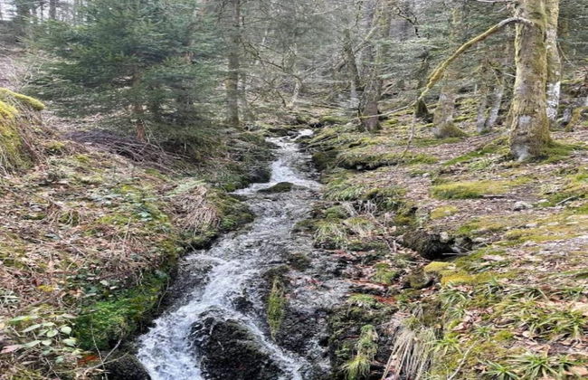 Elegant Chalet in Gerbepal in Cosy Environment - Photo 77