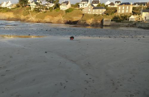 LA TERRASSE DE NOTRE DAME - Foto 61