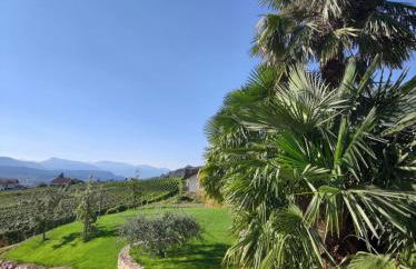 Highlight Apartments - Foto 36