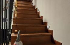 Casa Cristina - Photo 49