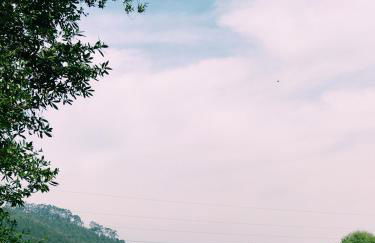 Estudio 33 - Foto 40