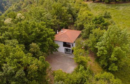 La Quiete del Pero Fiorito Villa in the Langhe - Foto 47