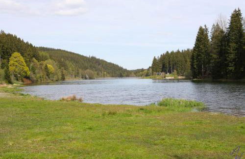 Holidayhaus-Lütsche / Wohnung Schmücke - Photo 7