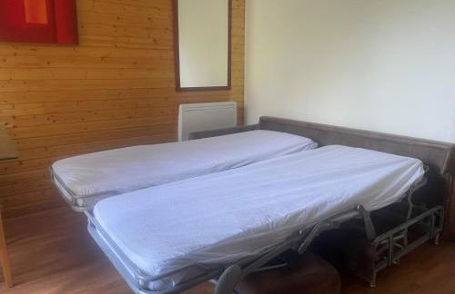 Hameau 3 103 - SPA & Piscine Appartement 6 Pers - Foto 11