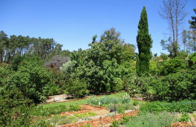 Charming Garden Retreat in Pedrogao Grande - Foto 20