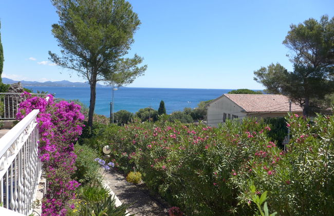 Carpe Diem - Foto 22