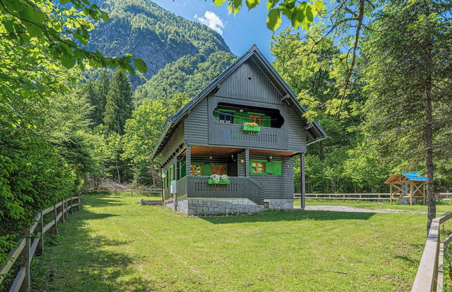 Alpine Chalet Metka at Lake Bohinj - Foto 1