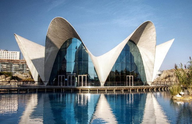 Desde Albir, Benidorm & Calpe : Excursión de un día a Valencia Ciudad - Foto 8