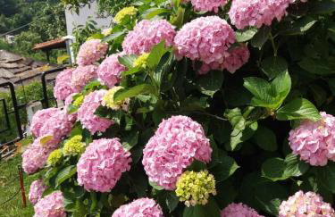 Villa Gialos Ηλέκτρα - Foto 8