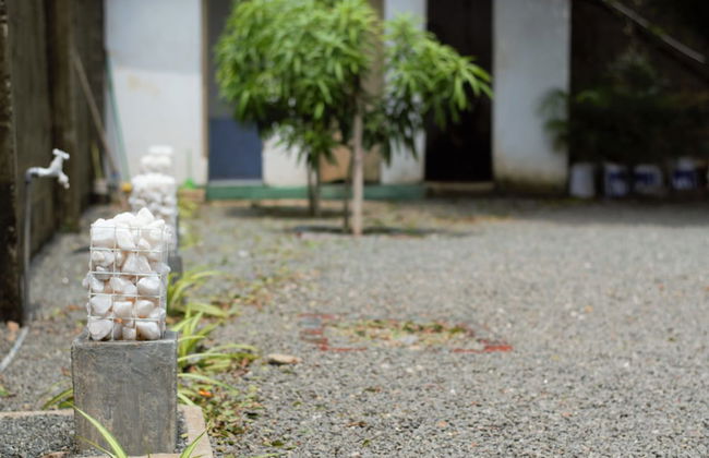 Cozy Sea View Inn - Foto 57