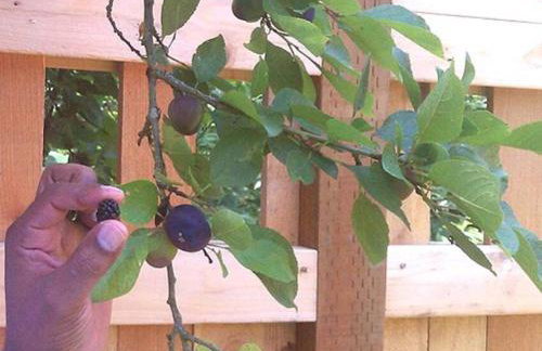 C19 Conscious, QUIET, ADULT Lake View Rental - Foto 15