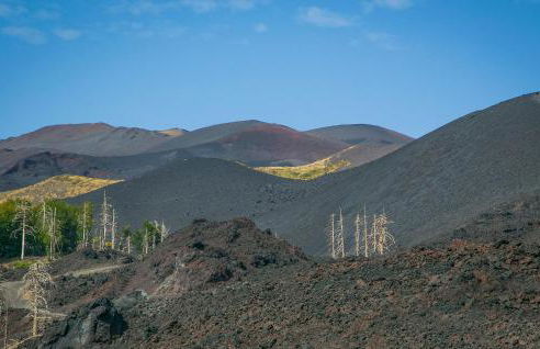 Villa Aura - Foto 36