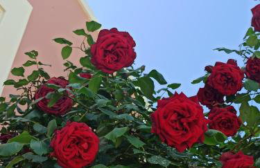 VILLA ANDRONIKI - Foto 28